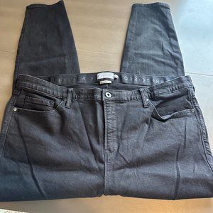 Torrid skinny jean 22R